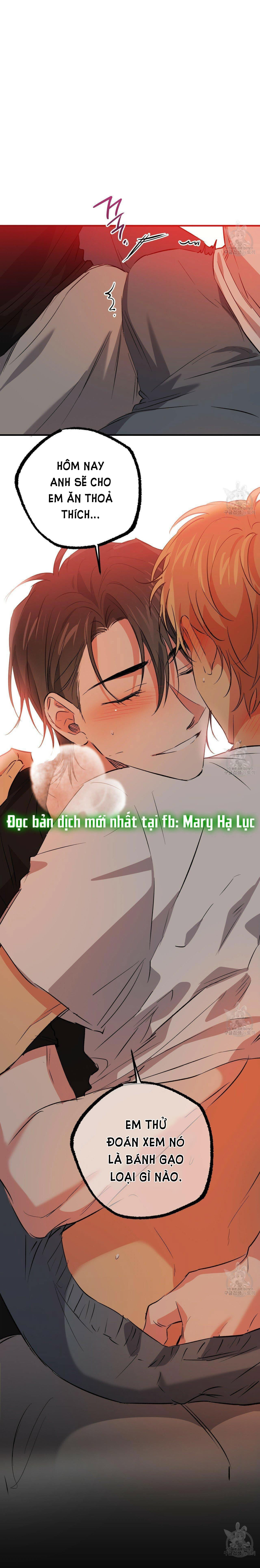 những chú thỏ của hapypy chapter 53.2 41