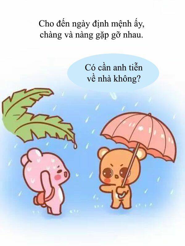 giải mã tình yêu chapter 241 6