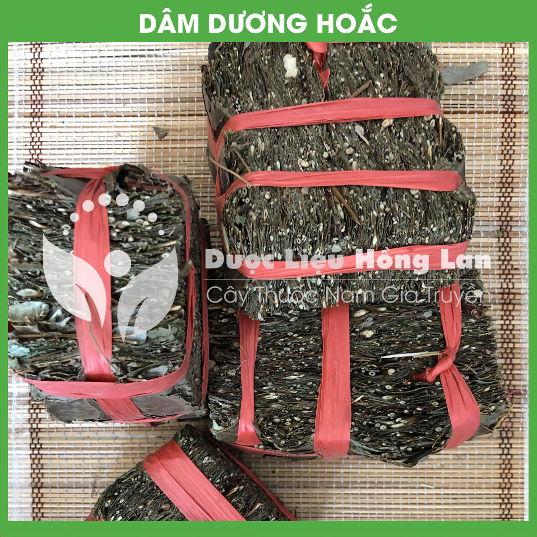 Combo 4 loại ngâm rượu bổ thận tráng dương cực mạnh