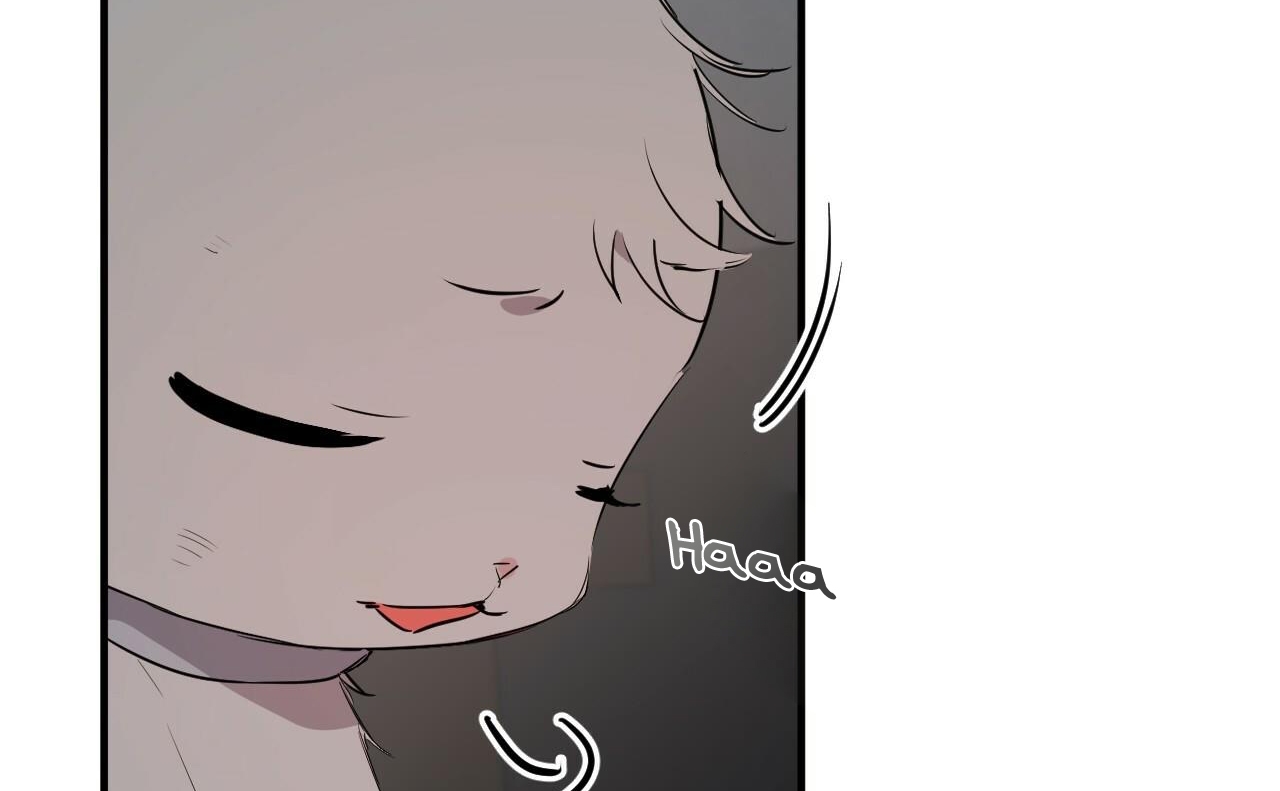 đàn thỏ của habibi chapter 46 197