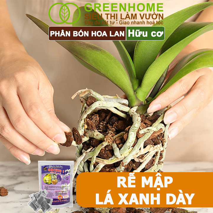 Phân Bón Lan Greenhome, Bao 36 Túi Lưới, Tan Chậm, Không Mùi Hôi, Dưỡng Lan Ra Rễ, Xanh Tốt, Dùng Tốt Cho Sen Đá, Kiểng