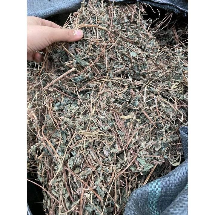 Cây bọ mắm ( cây dòi ) 1kg