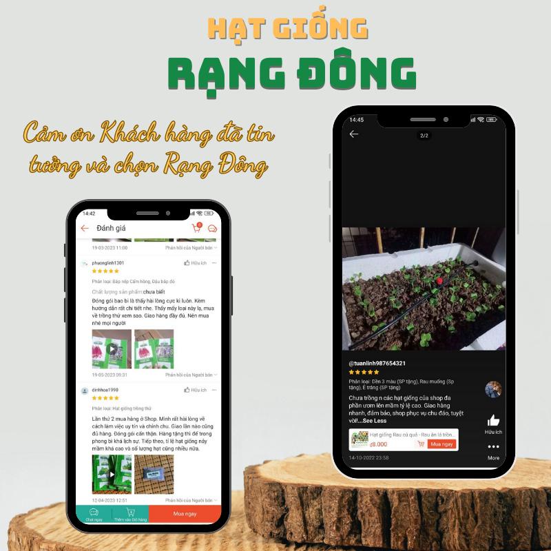 Hạt giống Cà Chua Cherry Đỏ Lai F1 Rado 640 (0,1g~45 hạt) sinh trưởng vô hạn, trồng quanh năm - Hạt giống Rạng Đông