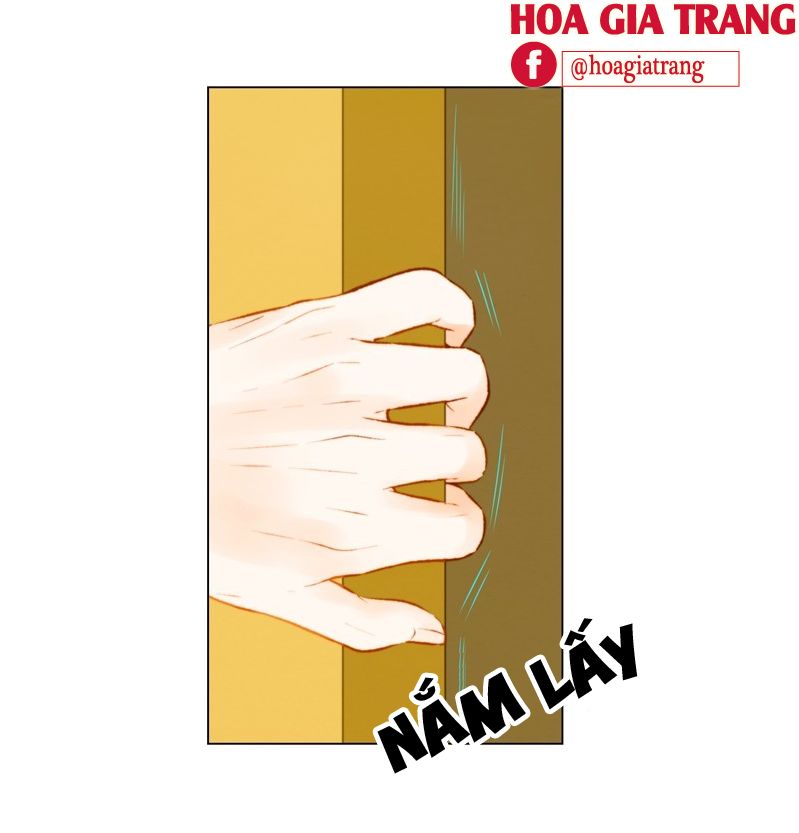 sao chép chapter 61 39