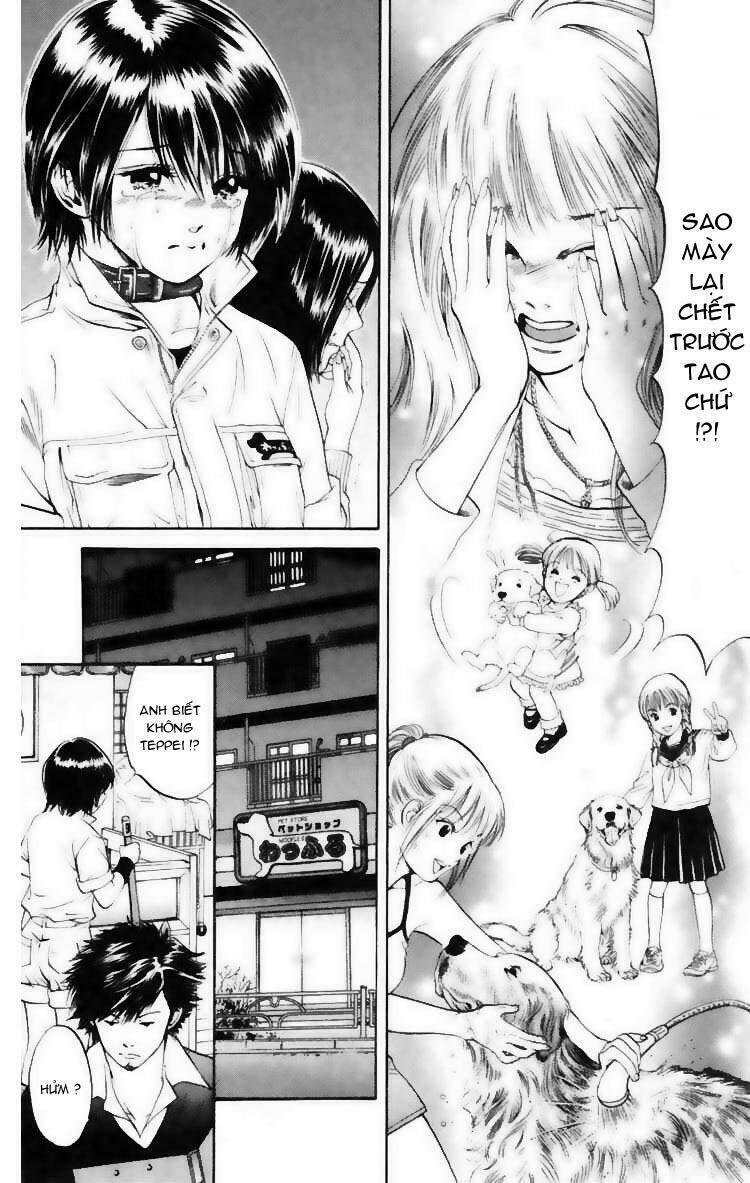 cô nàng yêu chó chapter 7 7