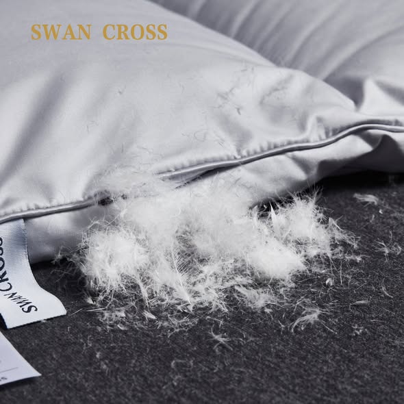 CHĂN LÔNG VŨ SWAN CROSS – ĐẲNG CẤP THƯƠNG GIA hàng chính hãng