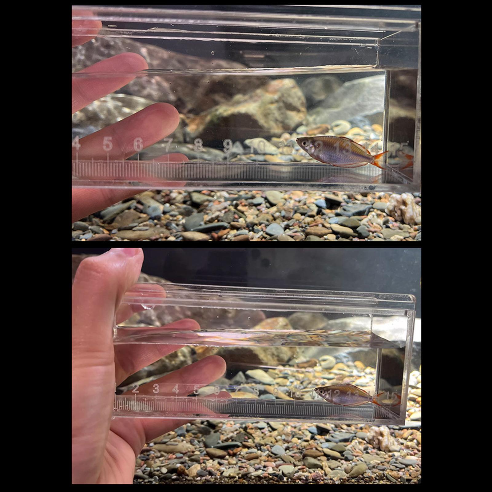 Fish Viewing Box Acrylic Small Holder Mini Aquarium Clear Fishing Photo Tank