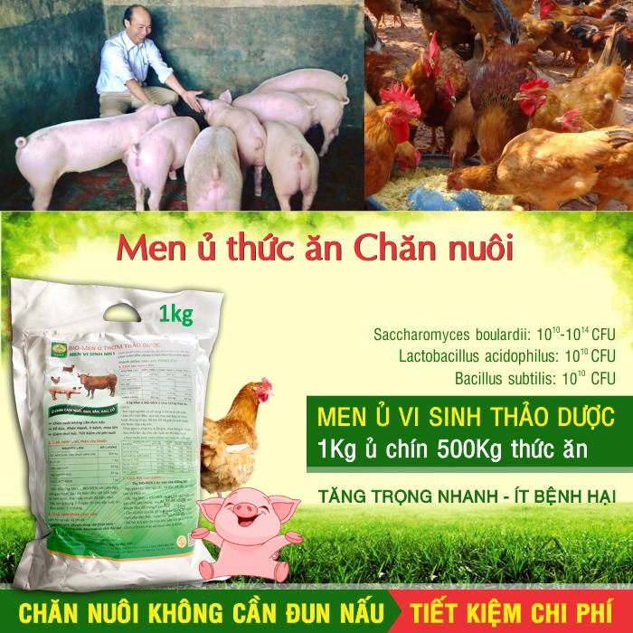 BIO-MEN Men ủ thơm thảo dược. Men vi sinh ủ chín thức ăn cho Gia súc, Gia cầm