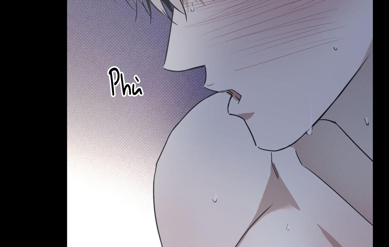 dải hợp âm trên đại dương xanh chapter 42 95