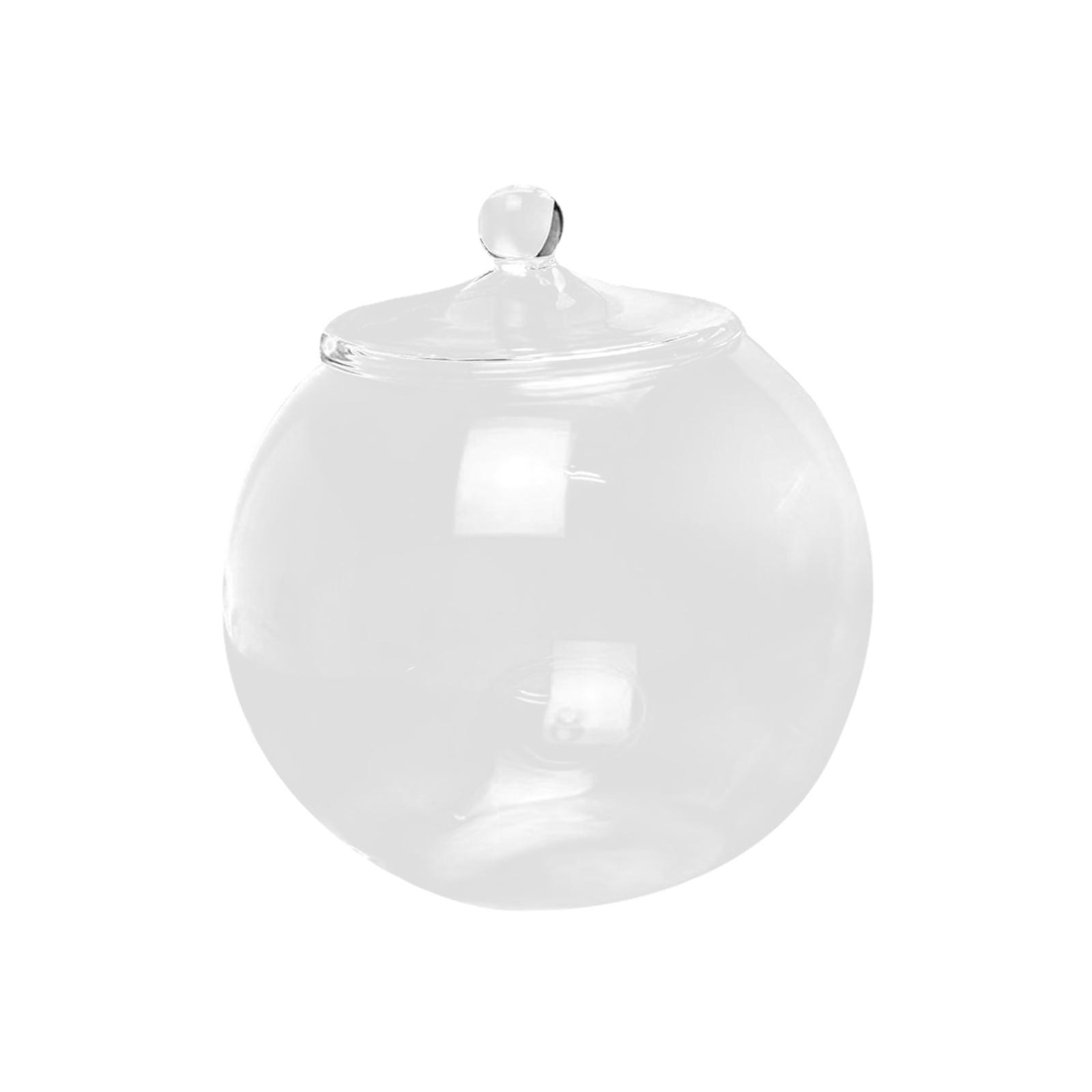 Glass Terrarium, Glass Plant Container, Sealed Storage Jar, Centerpiece Planter Jar Micro Landscape Bottle for Candy Coffee kitchen Nuts