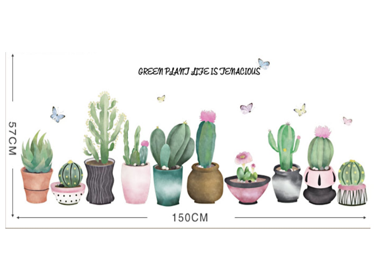 DECAL CHẬU XƯƠNG RỒNG TO