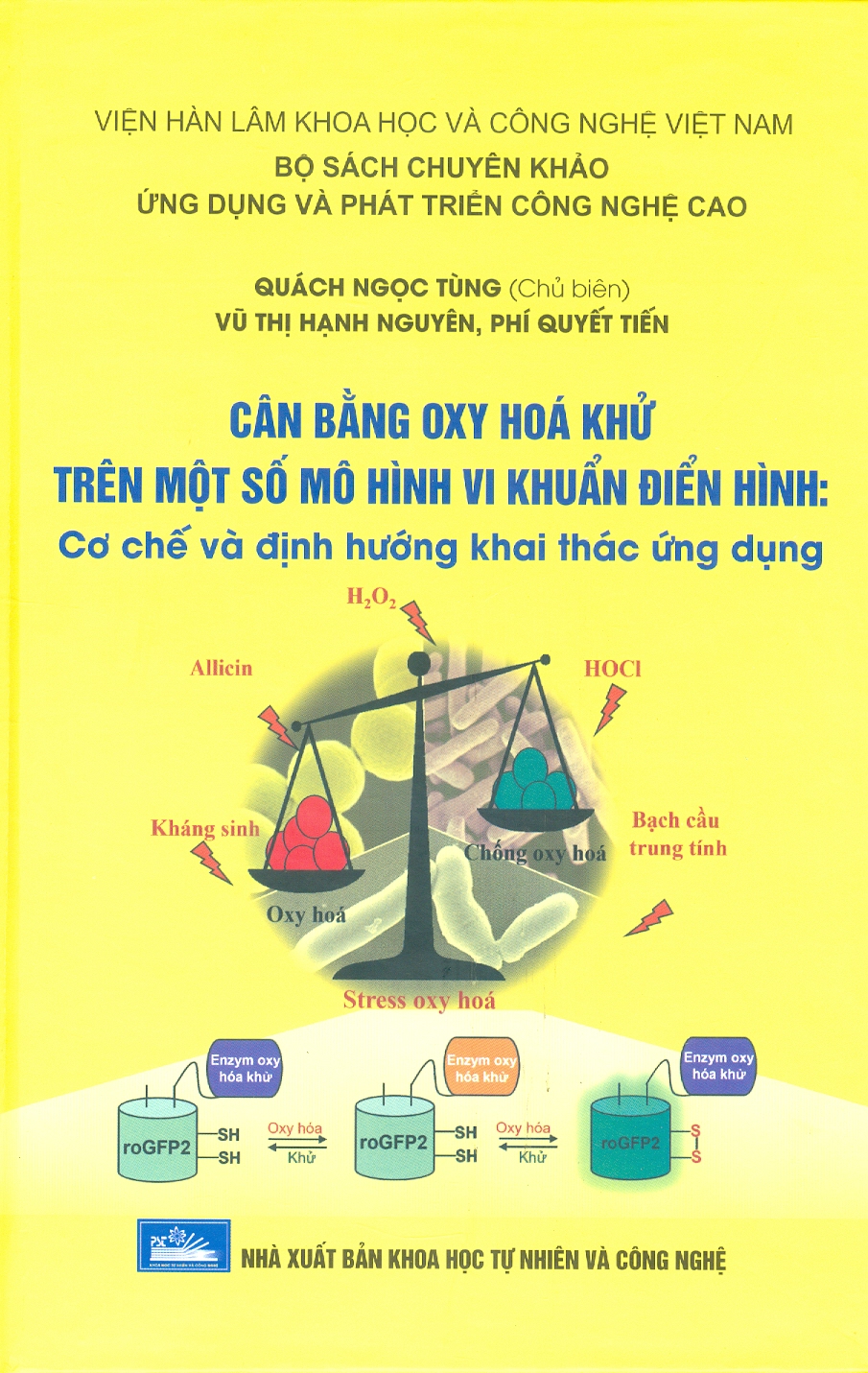 Cân Bằng Oxy Hoá Khử Trên Một Số Mô Hình Vi Khuẩn Điển Hình: Cơ Chế Và Định Hướng Khai Thác Ứng Dụng (Bộ Sách Chuyên Khảo Ứng Dụng Và Phát Triển Công Nghê Cao) (Bìa Cứng)