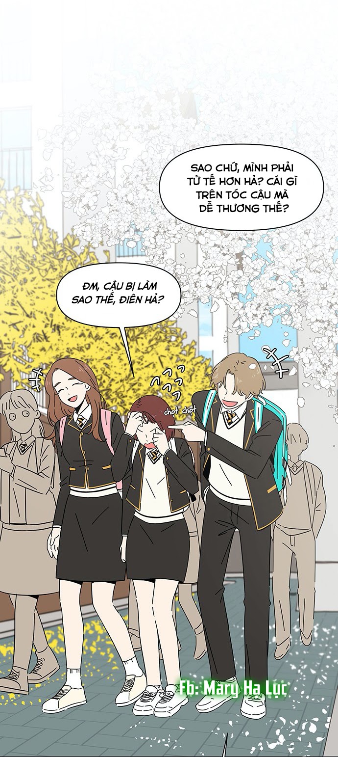 thanh xuân rực rỡ - season of blossom chapter 1 16