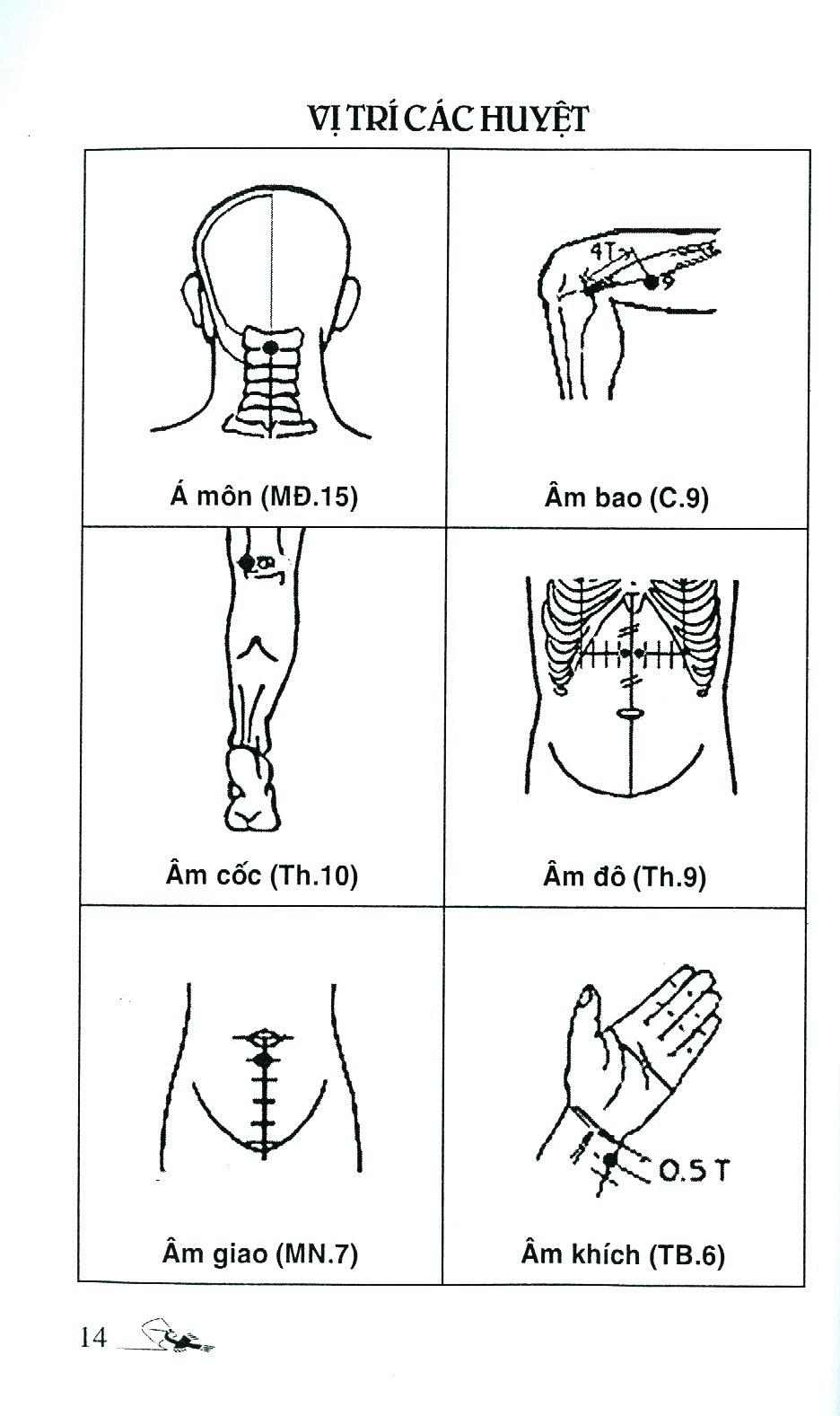 Sách Sổ Tay Tìm Huyệt 2019