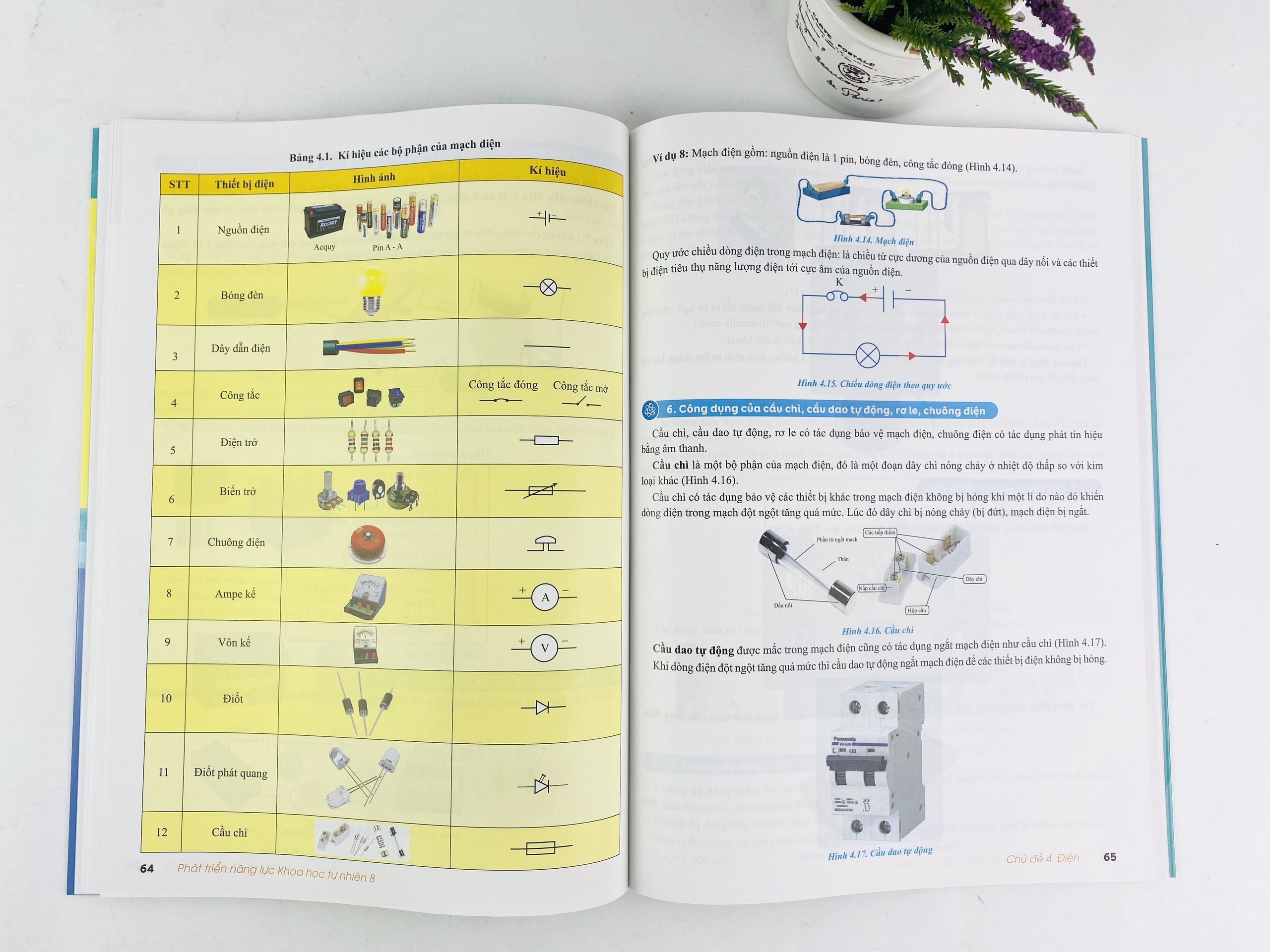 Sách - Phát Triển Năng Lực Khoa Học Tự Nhiên 8 - Dùng chung cho các bộ sách giáo khoa hiện hành - ndbooks