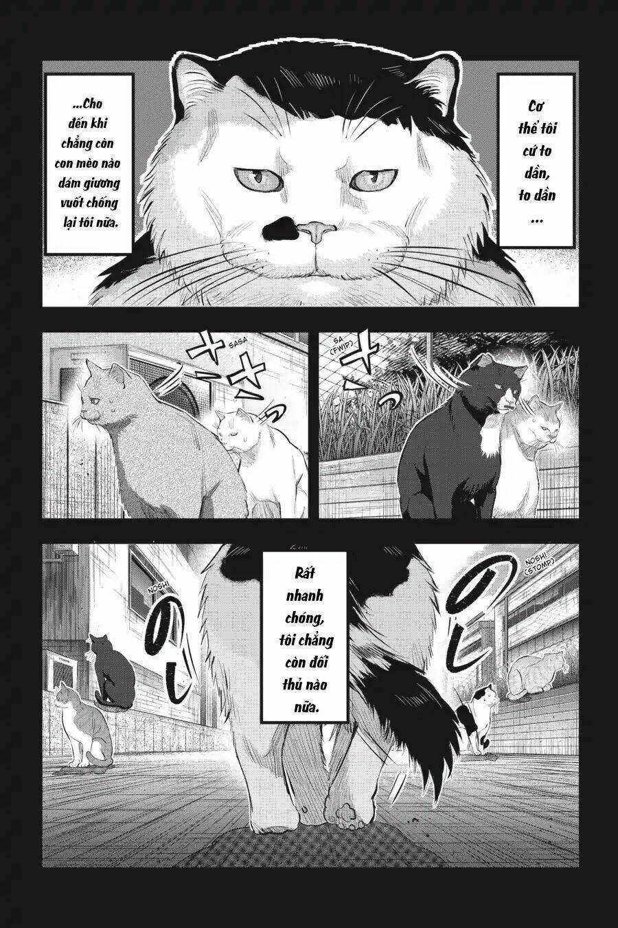nyankees chapter 7 7