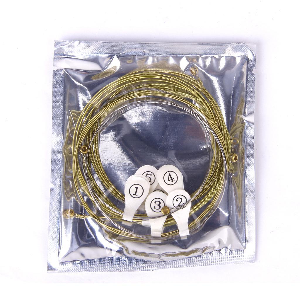 A Set Of 6 Strings For Acoustic Guitar