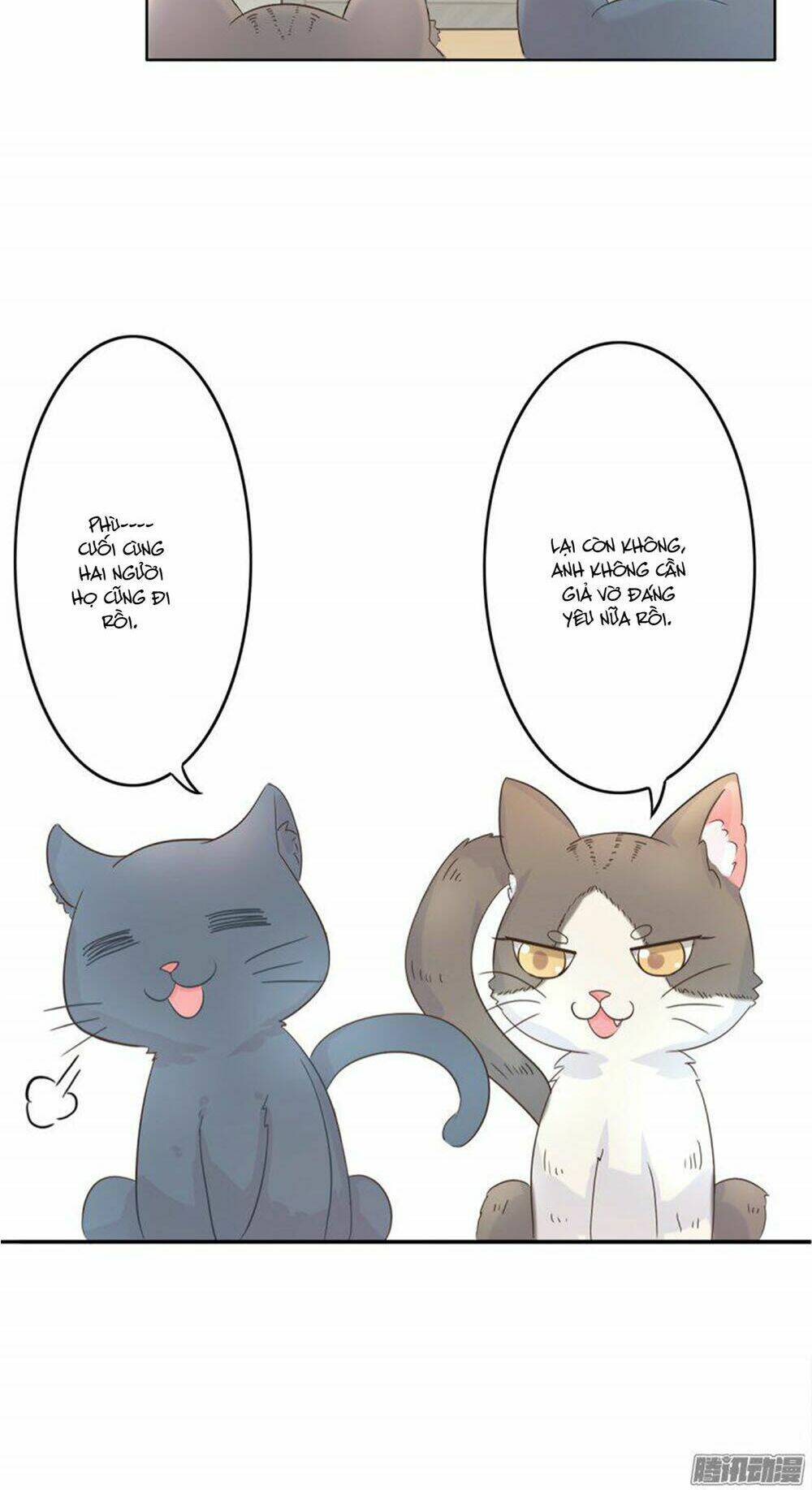 hai chú mèo totem chapter 1 7