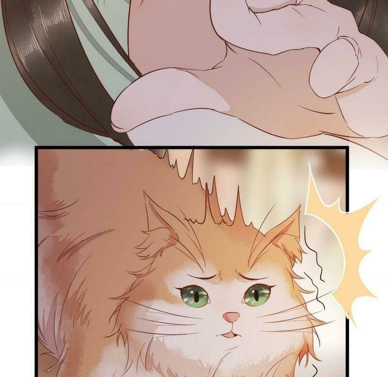 sát thủ vương phi không dễ chọc chapter 47 41