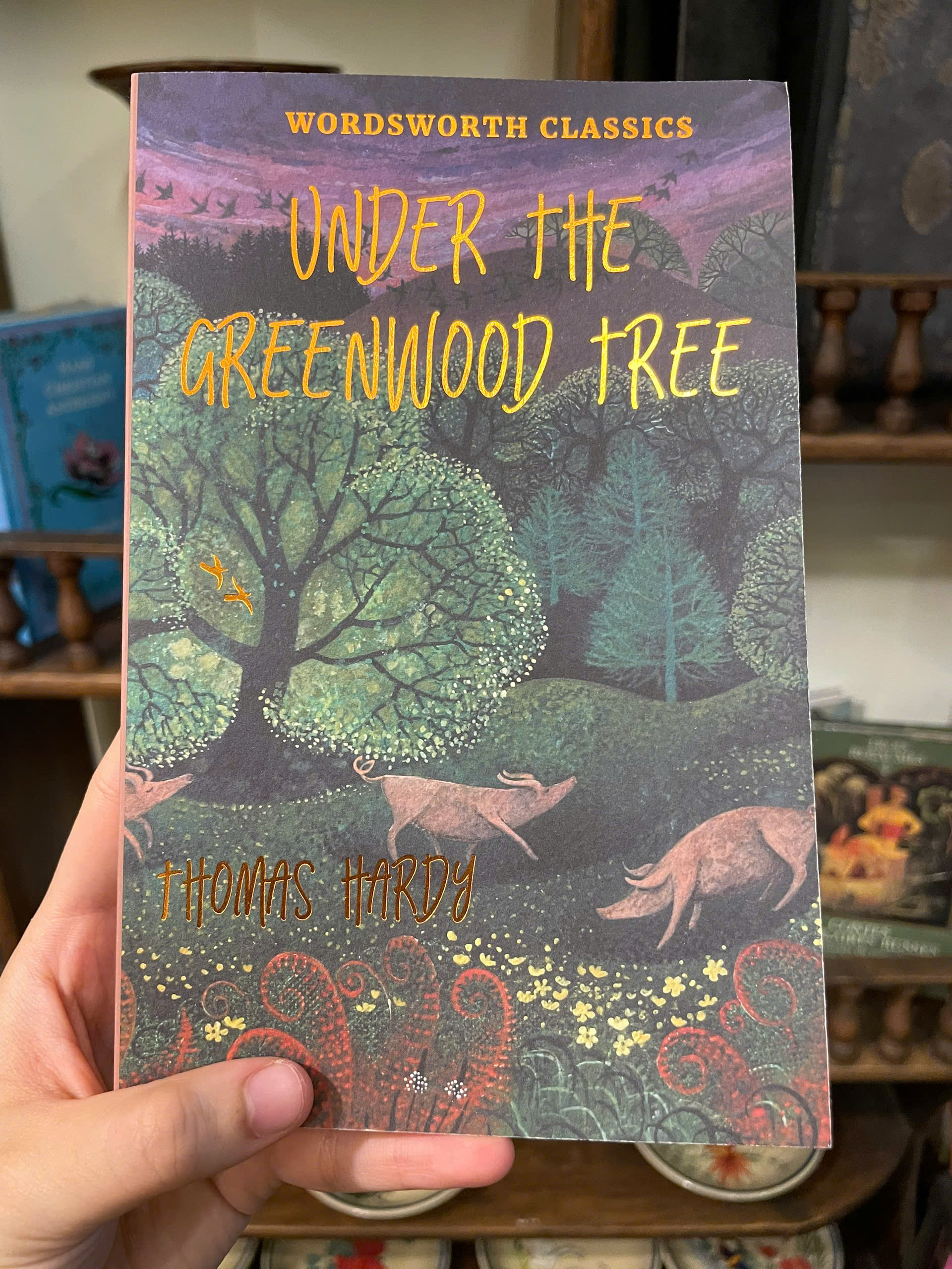 Sách - Under the Greenwood Tree (Wordsworth Classics) by Thomas Hardy | English Romance Book