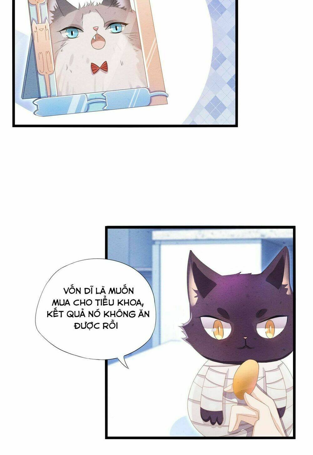 làm mèo của ta chapter 2 5