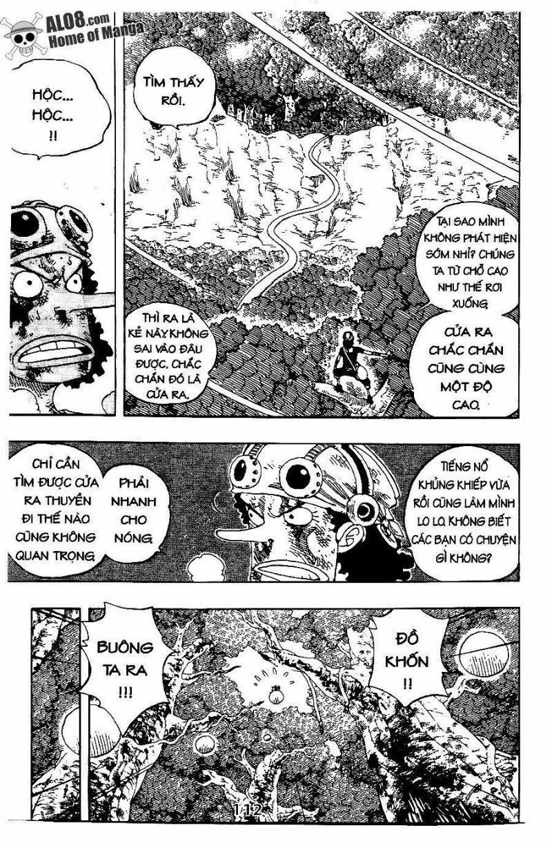 đảo hải tặc - one piece chapter 250 14