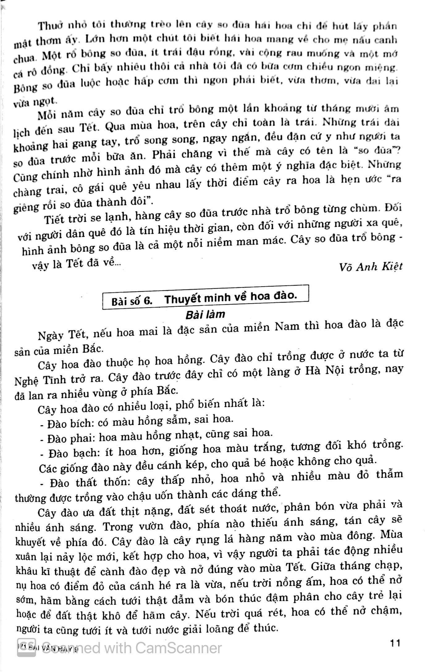 171 Bài Văn Hay Lớp 9 - Tái Bản