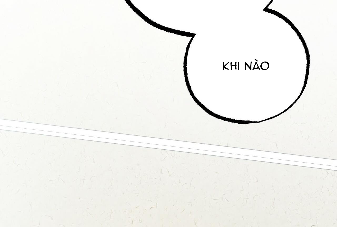 đàn thỏ của habibi chapter 35 255