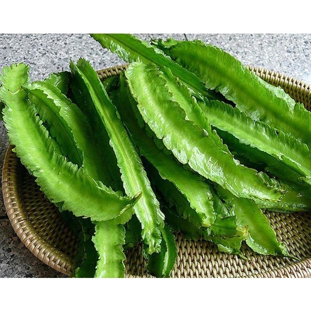 Hạt giống đậu rồng ngắn ngày cho trái quanh năm Gói 10gr