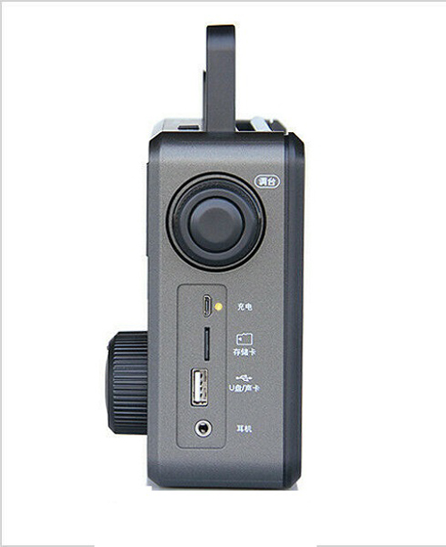 Radio Tecsun RP-307 (Hàng nhập khẩu)