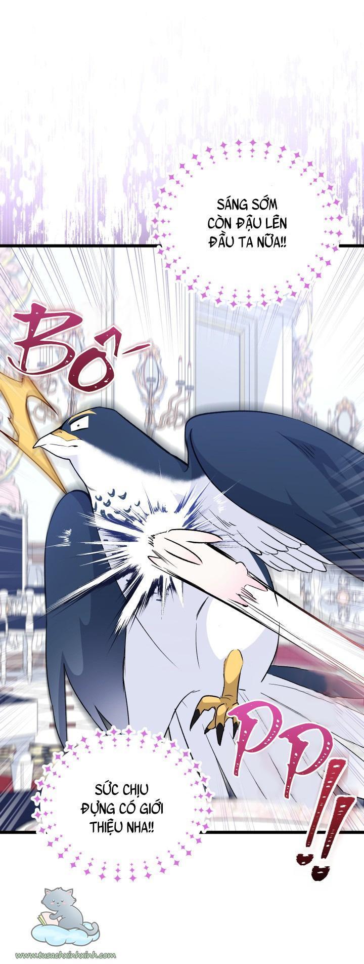 quan hệ cộng sinh giữa báo đen và thỏ trắng chapter 55 6