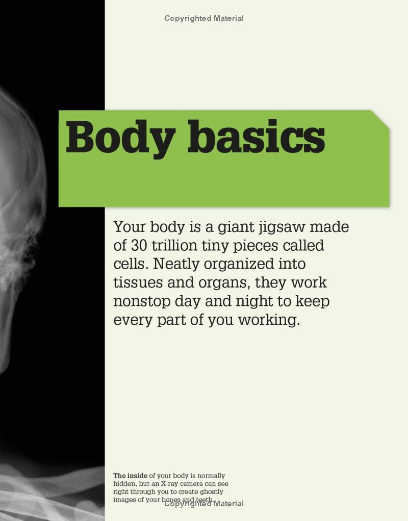 Sách ngoại văn: It Can't Be True! Human Body! : 1,000 Amazing Facts About You