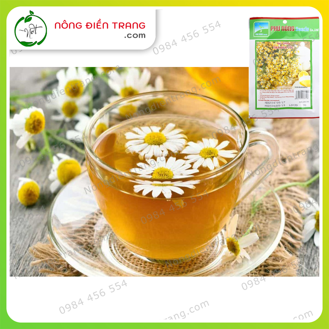 Hạt Giống Trà Hoa Cúc Phú Nông - Gói 3g - Dễ trồng, Không kén đất, Sinh trưởng mạnh. Kháng bệnh tốt VTNN Nông Điền Trang