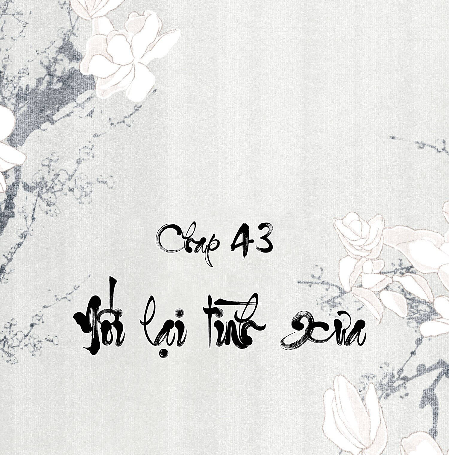 không cẩn thận cứu phải kẻ thù của giang hồ chapter 43 2