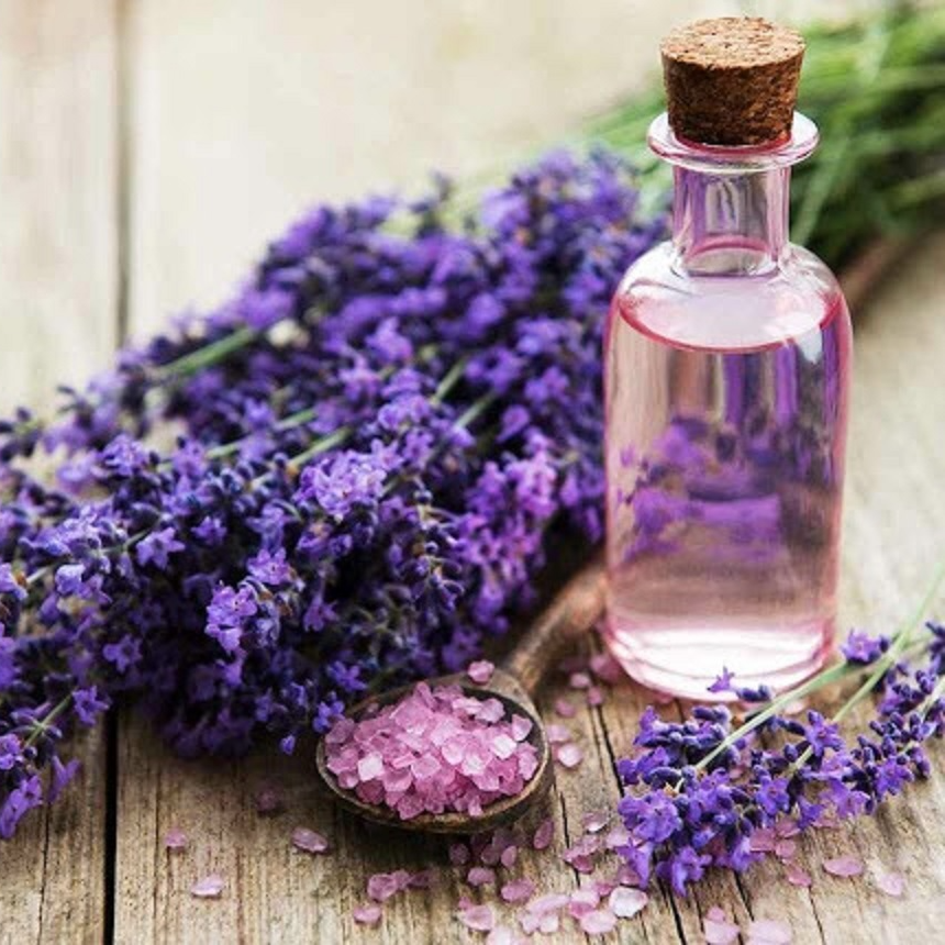 Tinh dầu Oải Hương (Lavender) 100ml nguyên chất từ thiên nhiên, xông phòng, khử mùi, thơm phòng, đuổi muỗi - KingOil