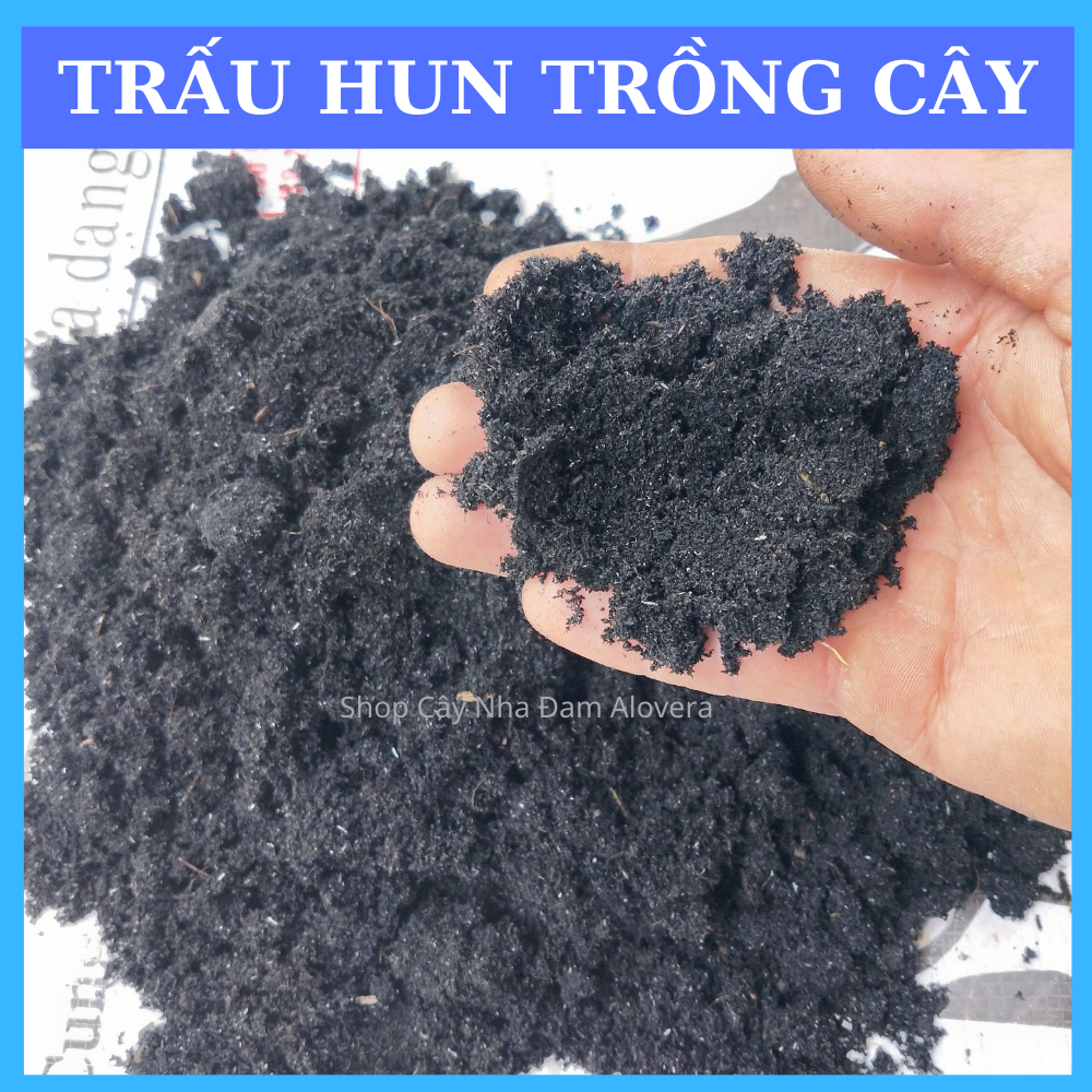 Tro Trấu Trồng Cây