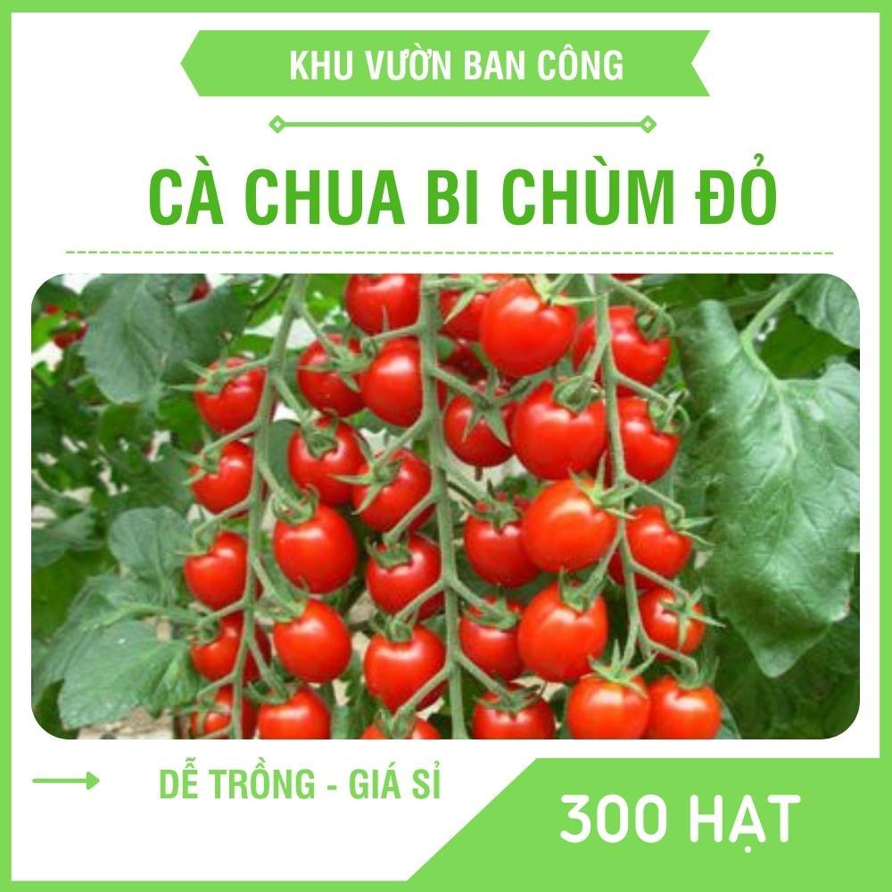 Hạt Giống Cà Chua Bi Chùm Đỏ, Cà Chua Chuỗi Ngọc Quy Cách 300/100 Hạt - Khu Vườn Ban Công