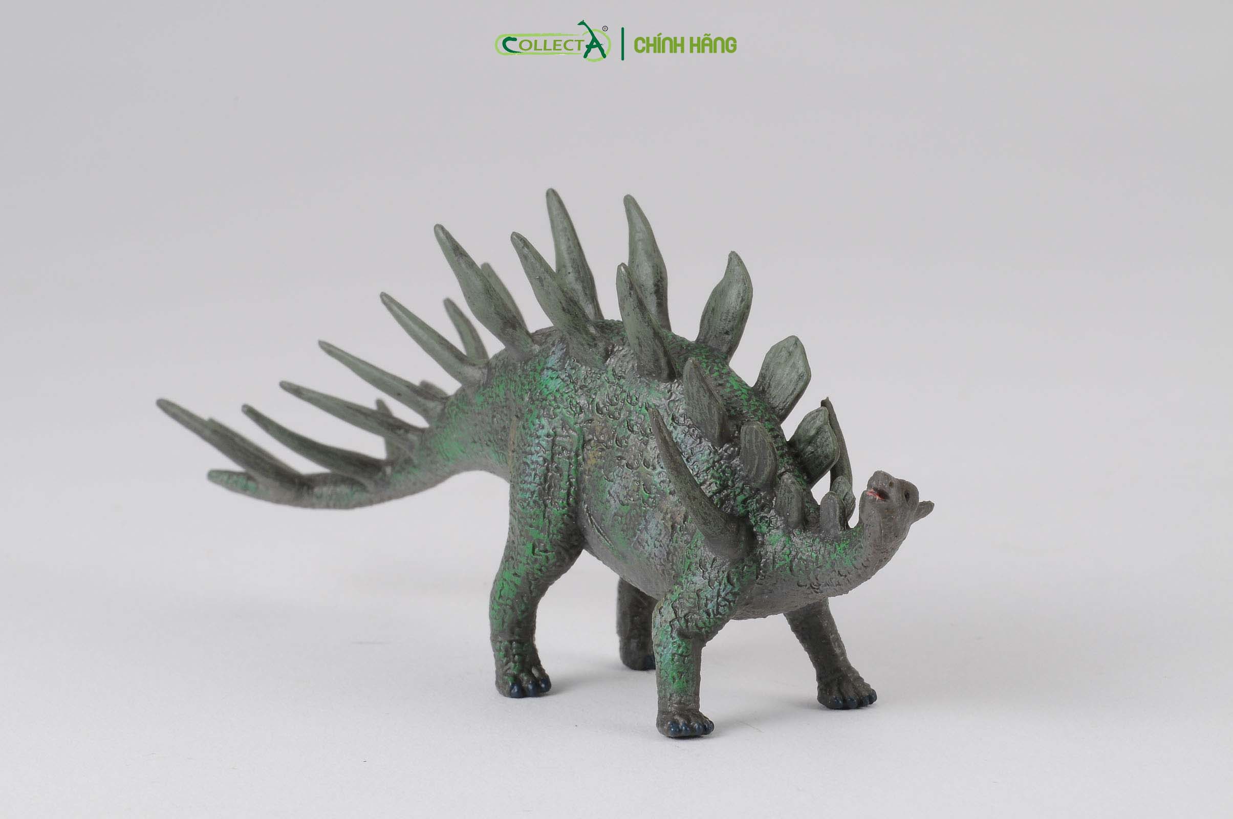 Mô hình thu nhỏ: Khủng Long Kentrosaurus - Kentrosaurus, hiệu: CollectA, mã HS 9654060 - Chất liệu an toàn cho trẻ - Hàng chính hãng