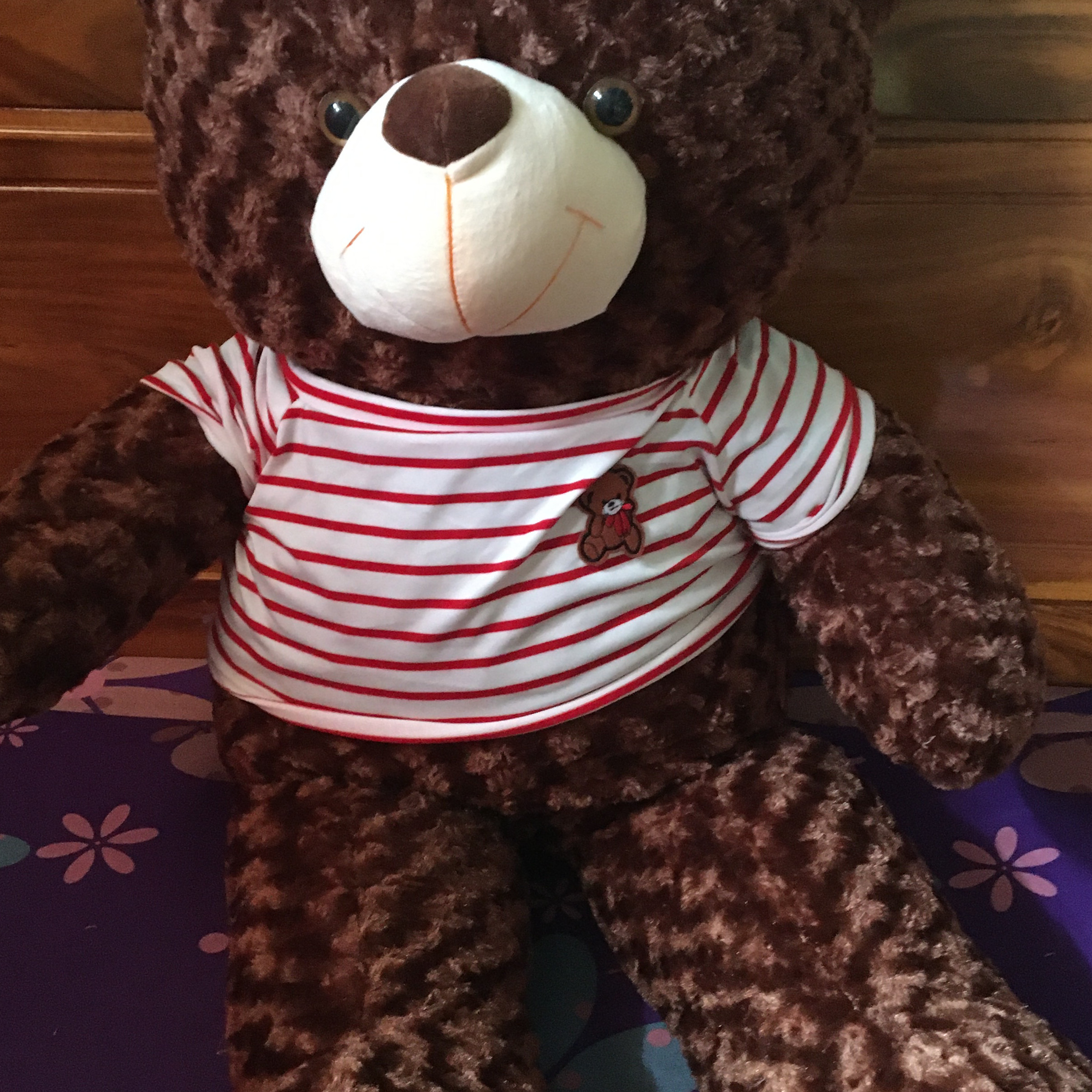 Gấu bông Teddy ICHIGO khổ vải 1m2  màu nâu socola