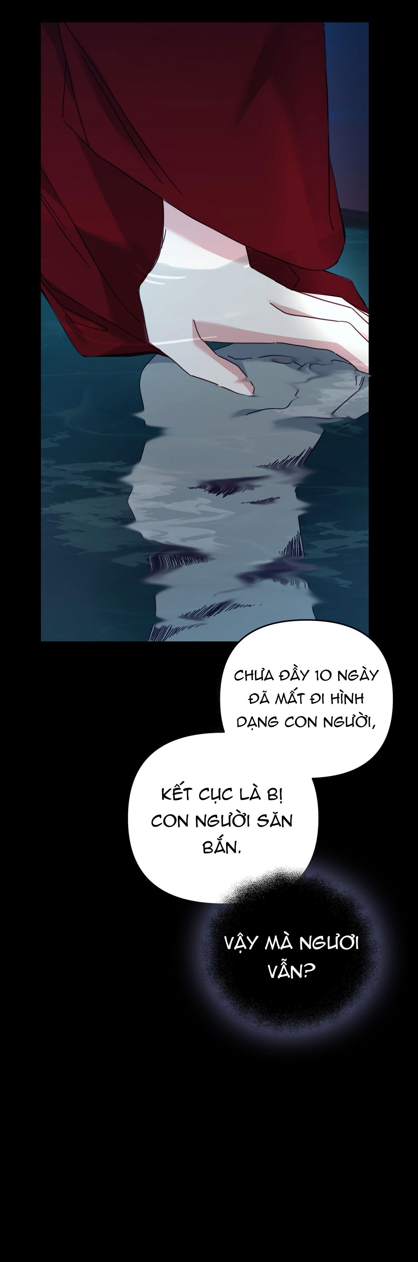 hổ trở về chapter 24 40