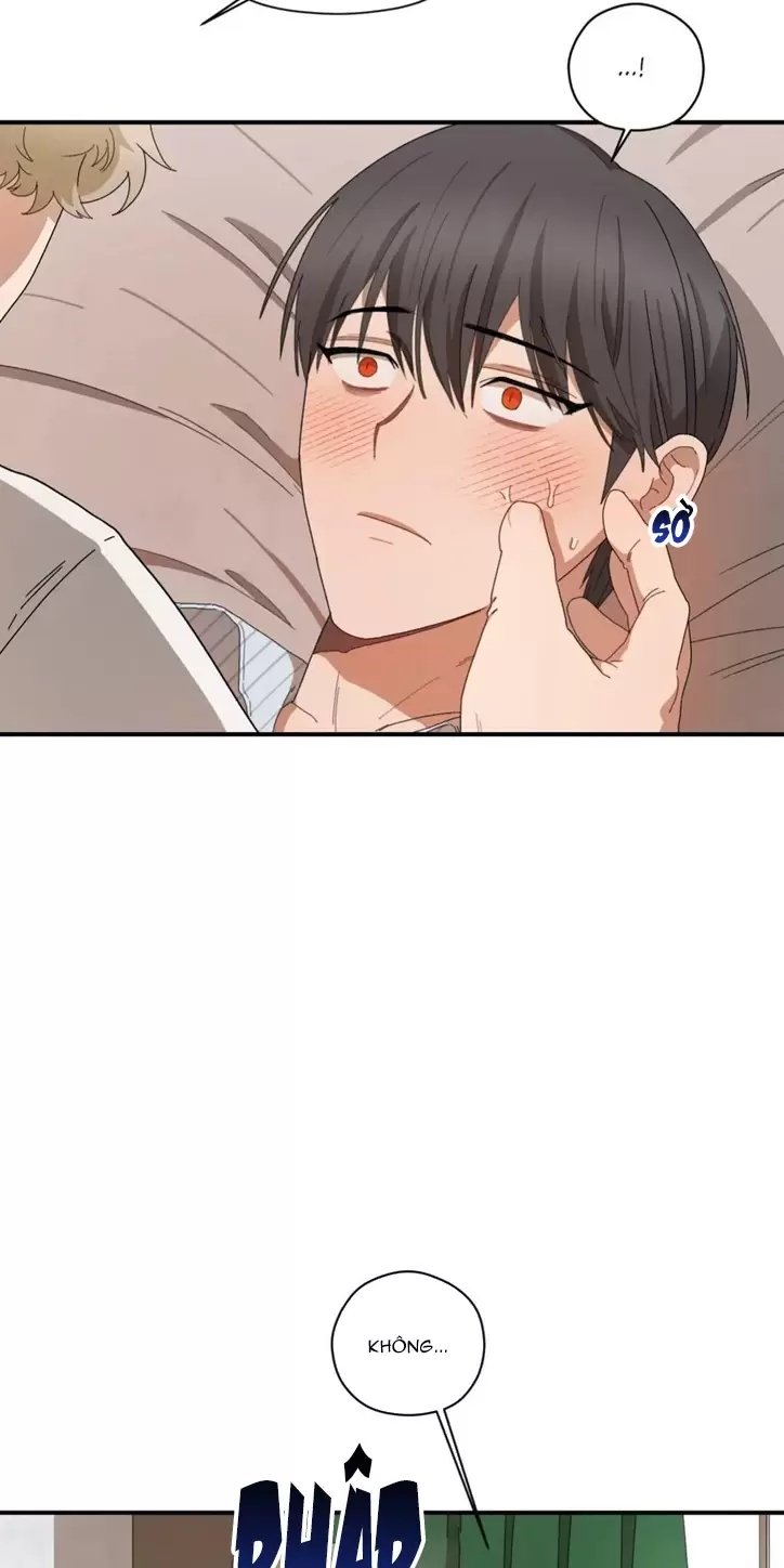 liveta chapter 25 67