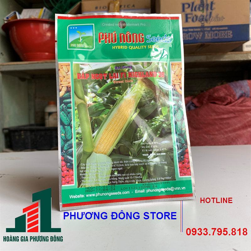 Combo 5-10 gói hạt giống Bắp ngọt lai F1 HIGHLAND 39 nảy mầm cao, kháng bệnh tốt