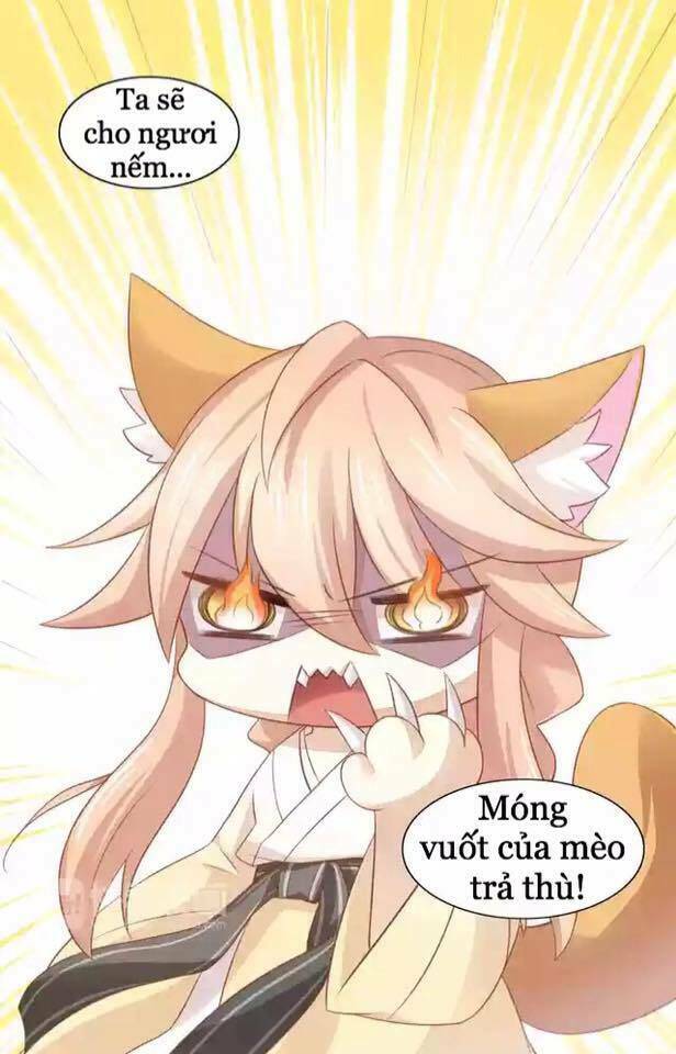 dưới móng vuốt mèo chapter 12 38