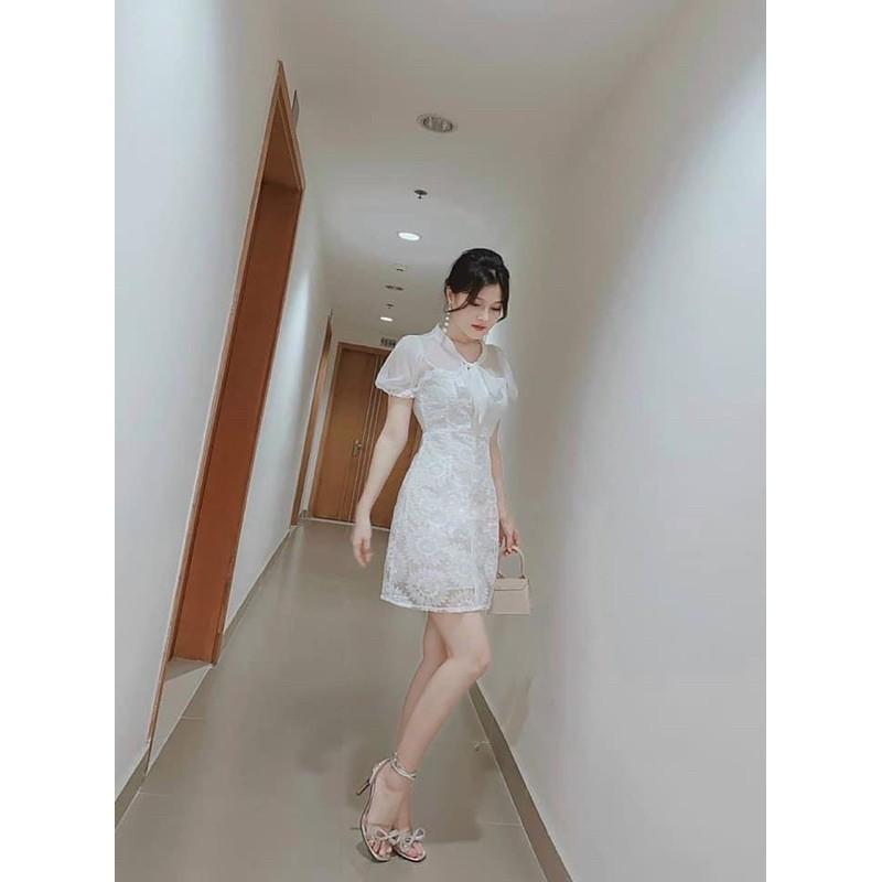 Đầm tay bồng ren phối voan cột nơ cổ đi chơi, đám cưới, du lịch TKN