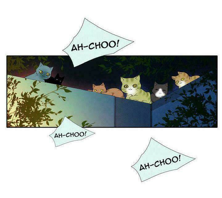 hoàng tử mèo đáng ghét chapter 1 78