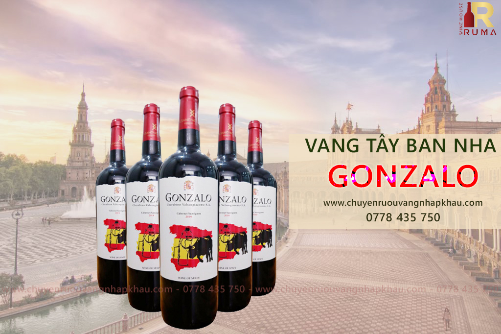 Rượu vang Tây Ban Nha Gonzalo