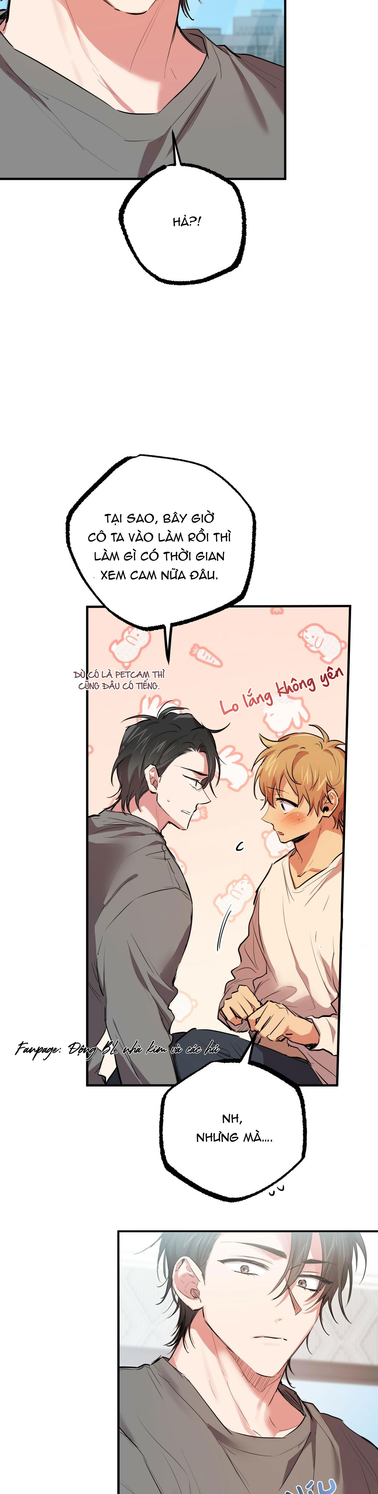 những chú thỏ của hapypy chapter 28 40