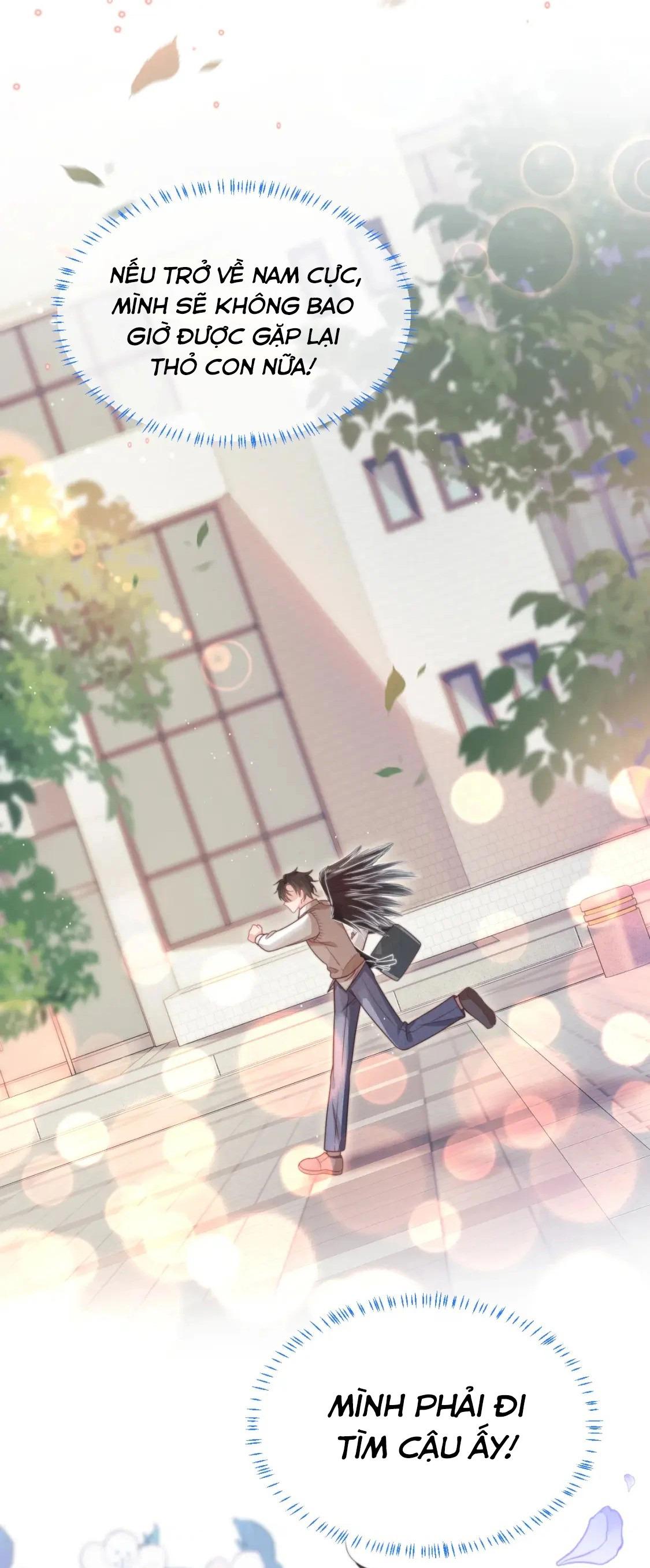 [ss2] một ngụm ăn cả thỏ con chapter 39 22