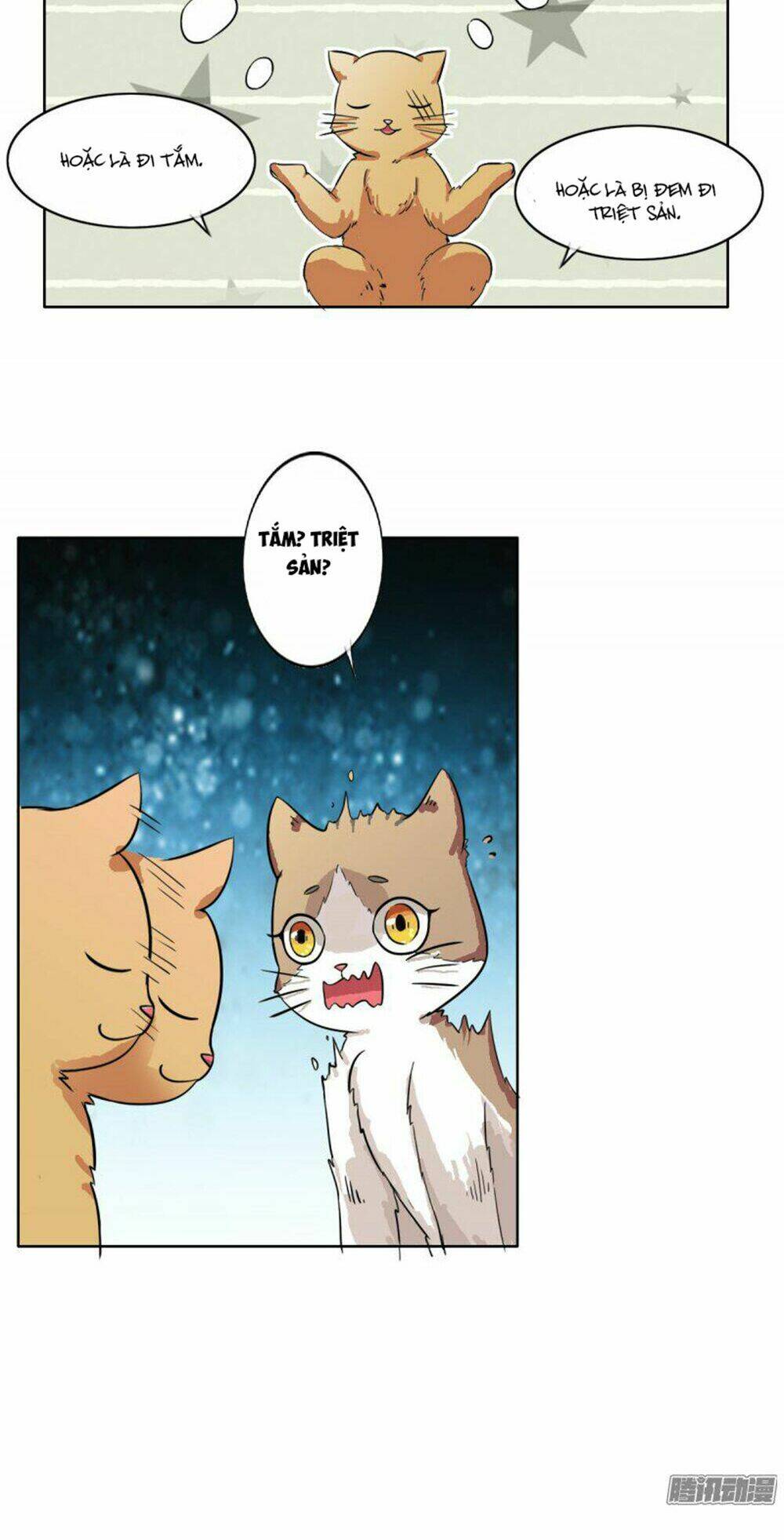 hai chú mèo totem chapter 4 10