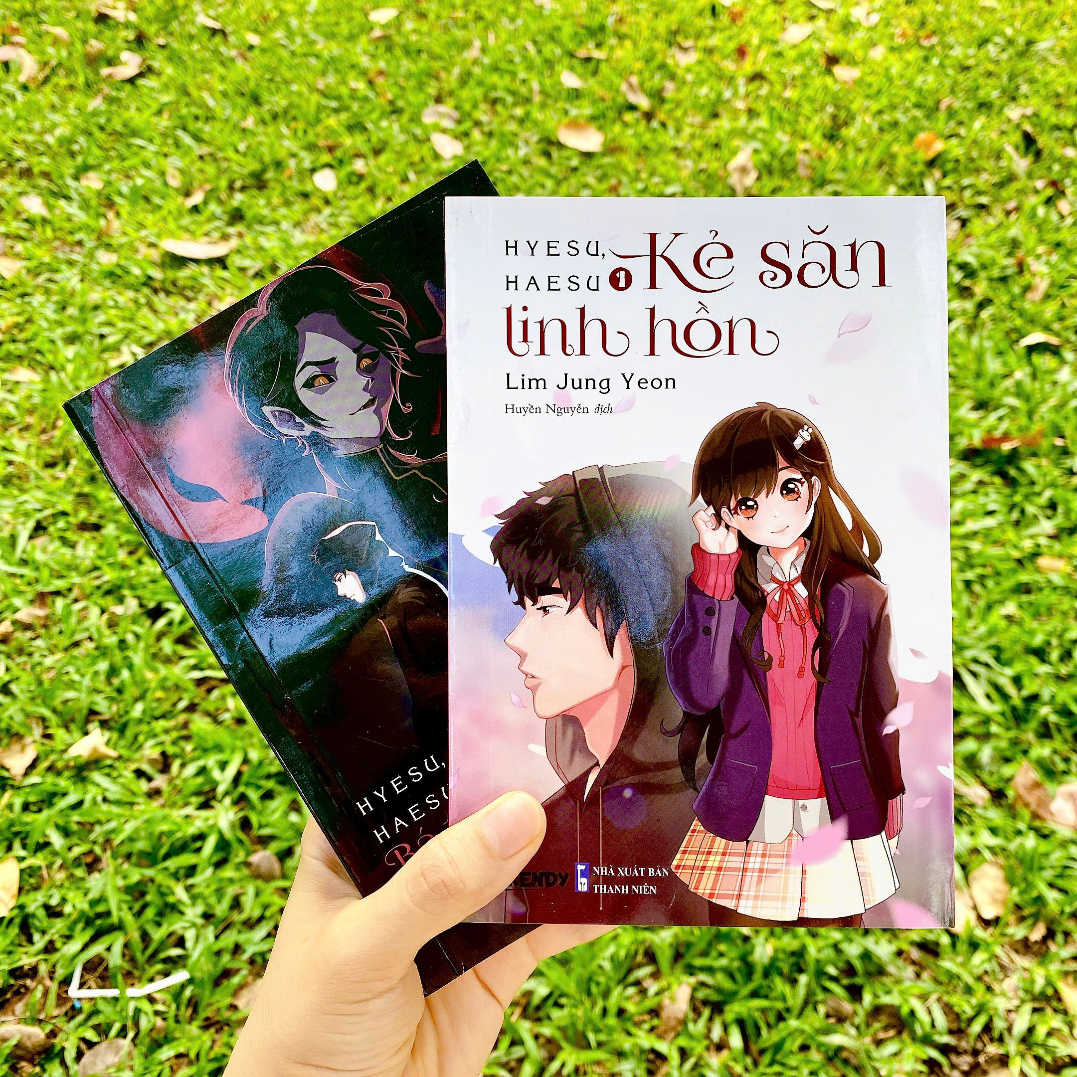 Sách Tiểu Thuyết Fantasy - Bộ 2 tập Hyesu, Haesu